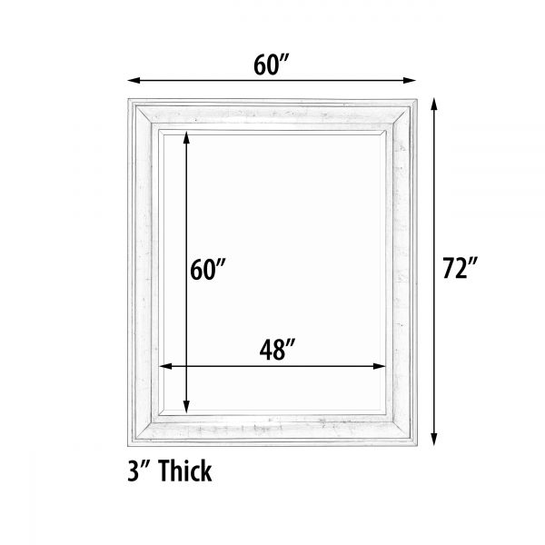 The Sterling Mirror 48X60 Silver with Champagne Wash - Image 4