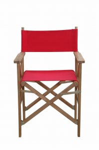 Anderson Teak Director Folding Armchair w/ Canvas (sold as a pair) - Luxurious Dwelling - Your Luxury Home Product Experts