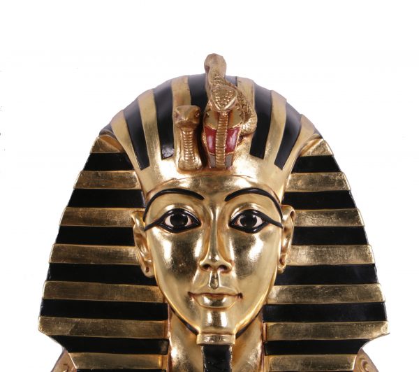 Tutankhamun Bust - Image 3