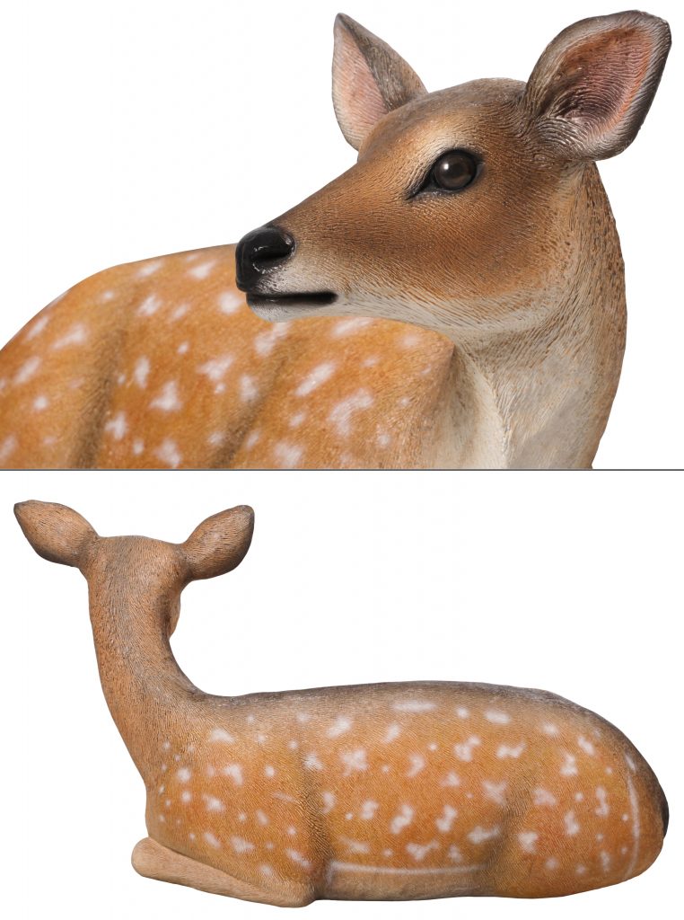 Fallow Deer Fawn Lying Down - Image 4