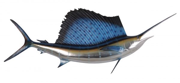 Wall Mount Sailfish 5ft - Image 1