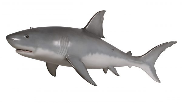 Great White Shark 6ft - Image 1