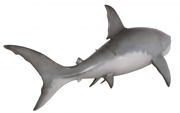 Great White Shark 6ft - Image 2