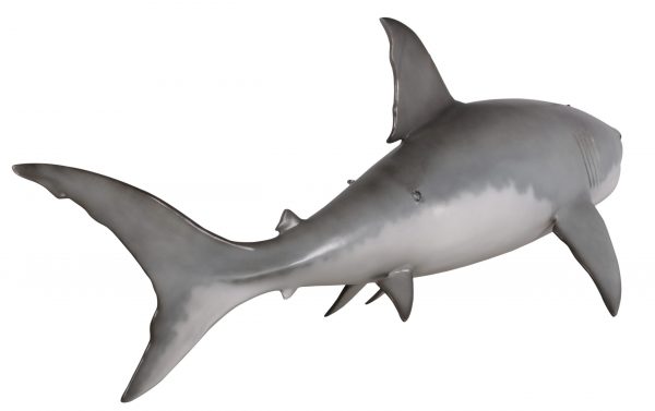 Great White Shark 6ft - Image 2