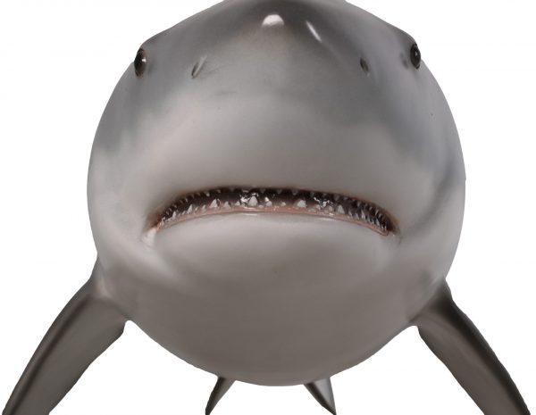 Great White Shark 6ft - Image 3