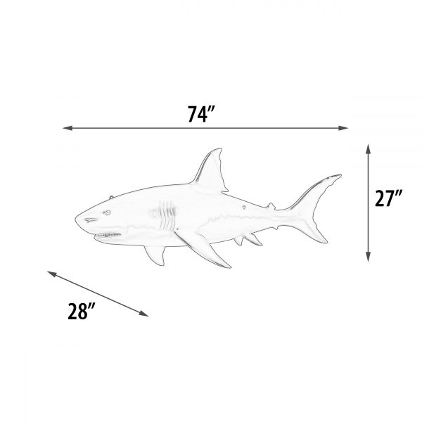 Great White Shark 6ft - Image 4