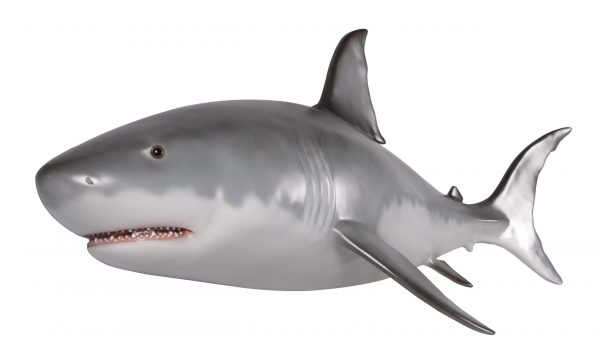 Wall Mounted Great White Shark 6ft - Image 1