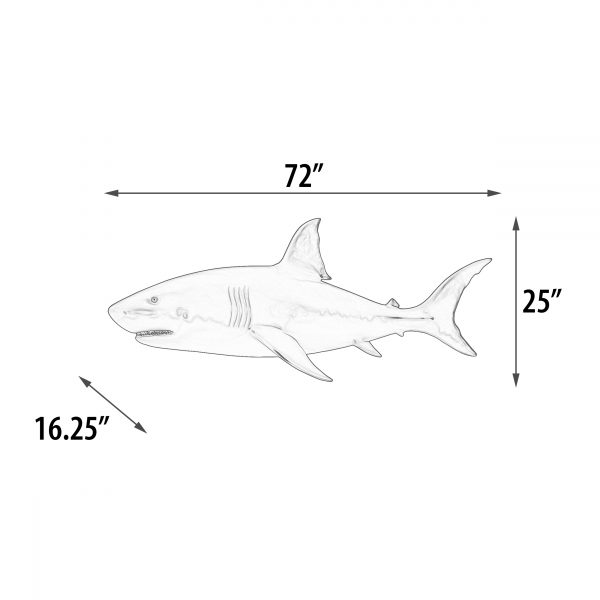 Wall Mounted Great White Shark 6ft - Image 5