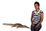 Crocodile Walking 4Ft - Image 2