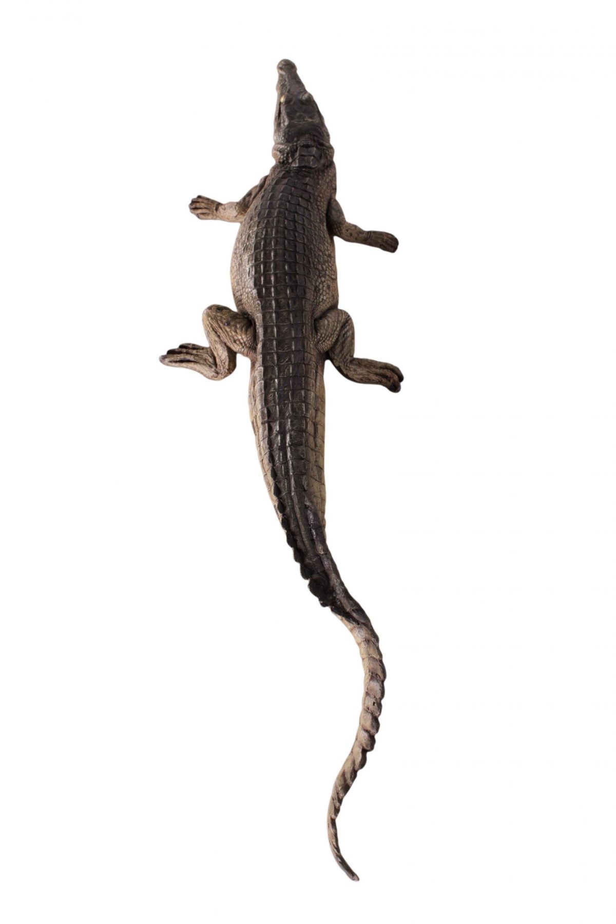 Crocodile Walking 4Ft - Image 4