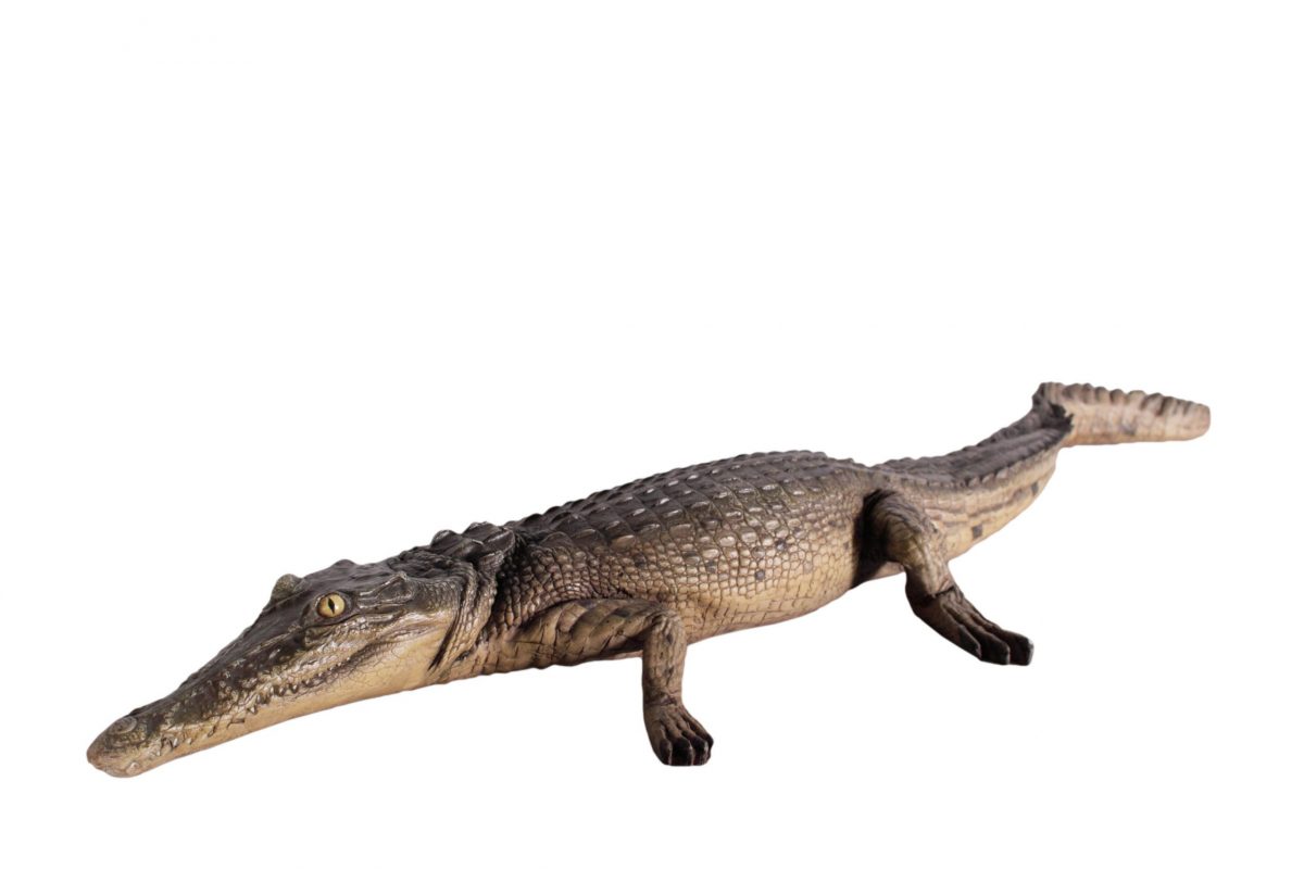 Crocodile Walking 4Ft - Image 5
