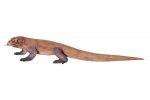 Enormous Komodo Dragon 130 Inch Long - Image 4