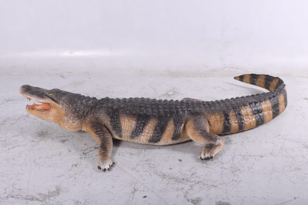 life-size American Alligator 94.75 Inch Long - Image 2