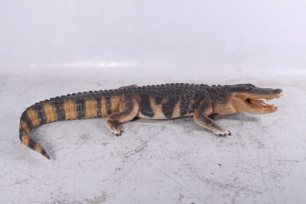 life-size American Alligator 94.75 Inch Long - Image 3