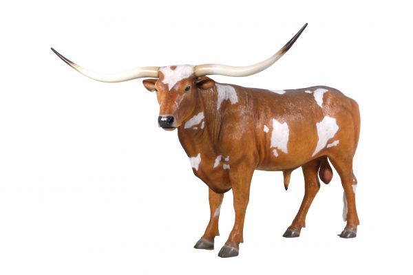 Texas Longhorn Bull - Image 1
