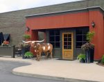 Texas Longhorn Bull - Image 2