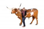 Texas Longhorn Bull - Image 3