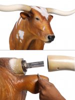 Texas Longhorn Bull - Image 4