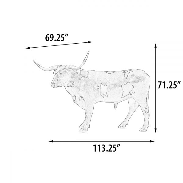 Texas Longhorn Bull - Image 5