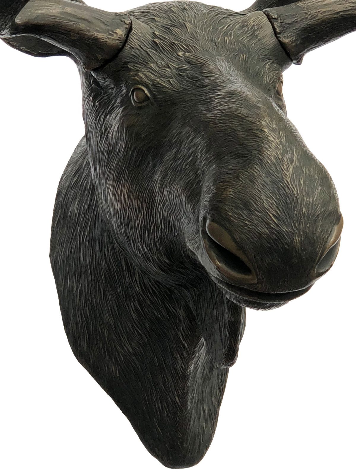 Imperial Moose Head Wall Décor - Image 1
